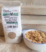 Famille Rochefort - Grains 100% petit épeautre bio 10kg