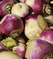 Maréchal Fraicheur - Navets - 5 kg