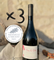 Domaine de la Chopinière du Roy - Lot de 3 Bouteilles de vin rouge Saint Nicolas de Bourgueil cuvée Sous la Robe 2023 - 3 x 75 cl