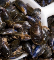 Poissonnerie La Piriacaise - Moules