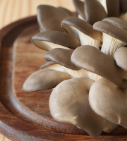 Cham B - Pleurotes Bio Françaises 2kg