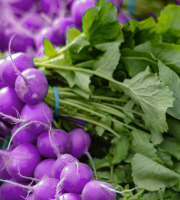 Nature et Saveurs - Ferme Aquaponique et Permacole Astérienne - Radis rond violet en botte - 1kg
