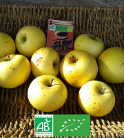 LES JARDINS DE KARINE - POMME "bonne à tout" Reinette du Mans - 1kg