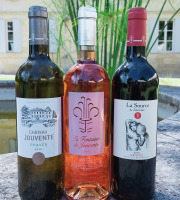 Château Jouvente - Vins de Bordeaux pour l'apéro : rouge, rosé, blanc