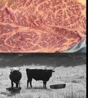 Le Grand Karadok - [Précommande] Coffret L'Essentiel de Wagyu maturé Bio