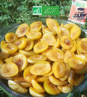 LES JARDINS DE KARINE - Quetsche jaune en quartier surgelée - 5kg
