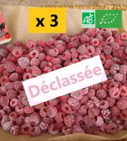 LES JARDINS DE KARINE - Framboises surgelées déclassées à cuire - 3kg