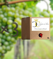 Domaine de la Chopinière du Roy - Lot 3 BIB de vin Blanc sec et aromatique 2025 Chenin - 3L