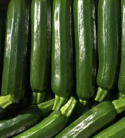 L'OLIVERAIE DU COUDON - COURGETTE VERTE PRIMEUR 5kg