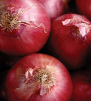 Maréchal Fraicheur - Oignons paille rouges - 1 kg