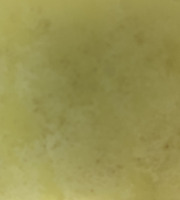 Des Poules et des Vignes à Bourgueil - Graisse de canard et poule aromatisée au curcuma