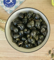 La Criée d'à Côté - Bigorneaux Vivants - 3 Kg
