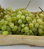 Le Panier du Producteur - Raisin "Blanc"