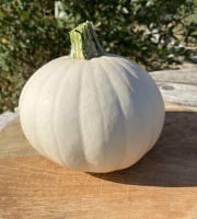 Ferme Sinsac - courge blanche poivrée 800 grs