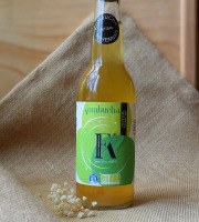 Dégustonfoin - 6 x Kombucha "Menthe" BIO 33cl