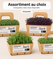 Ma Micropousse culinaire - Micro-pousses Bio – Assortiment au choix – 16 barquettes