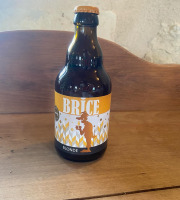 Des Poules et des Vignes à Bourgueil - Bière Blonde artisanale