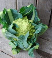 La Boite à Herbes - Chou Romanesco - 1 Pièce