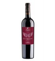 Château Balsamine - AOC Gaillac Rouge "Un ange passe" 2024 6x75cl
