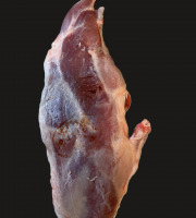 La Guyotte Ferme Bressane - Demi chevreau 5,5kg