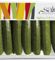 Maison Sales - Végétaux d'Art Culinaire - 11- Mini Courgette - 13 Pièces Minimum