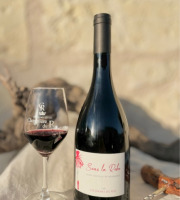 Domaine de la Chopinière du Roy - Vin rouge Saint Nicolas de Bourgueil - Cuvée Sous la Robe 2023 - 6x75cl