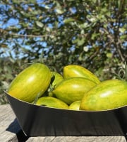 Ferme Sinsac - tomate poires jaunes