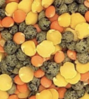 L'OLIVERAIE DU COUDON - LENTILLES TRIO BIO – PAQUET 500 G