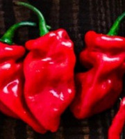 HERBA HUMANA - Piment Cabris - 17g