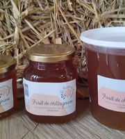 Le Rucher de Cantiers - Miel de Châtaigniers 250g