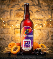 Bière L’Eurélienne – Brasserie de Chandres - Bière Sour 1x75cl