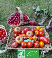 LES JARDINS DE KARINE - PANIER modulable de fruits et légumes ROUGES d'AUTOMNE