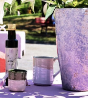 Chicorée Aceae - Pack Best-Seller – Les incontournables