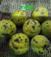 LES JARDINS DE KARINE - Coing à transformer - 1kg