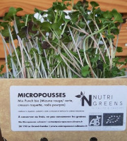 Ma Micropousse culinaire - Micro pousses Mix Punch bio 4 barquettes