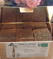 Ferme Les Jardines - Pâtes de fruits de Kïwais Bio