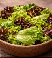 Nature et Saveurs - Ferme Aquaponique et Permacole Astérienne - Salade aquaponique de laitues coupées