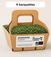 Ma Micropousse culinaire - Micro-pousses bio de roquette