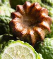 Canelés Louis SCHRAMM - Petits canelés Combava x400