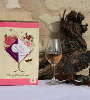 Domaine de la Chopinière du Roy - BIB de Rosé Sec et Fruité 2025 - 5 Litres