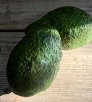 L'OLIVERAIE DU COUDON - AVOCATS A FAIRE MURIR 2 PIECES env 600gr PROMO