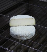 Alléosse Maitre Artisan Affineur Fromager - Robiola d'Alba con Tartufo affiné +/- 2 mois