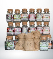 Adal Terra - Calendrier de l'Avent Epices Bio - Noel