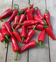 HERBA HUMANA - Piment Goria 3kg
