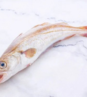 Poissonnerie La Piriacaise - Merlan entier 1 kg