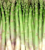 L’Oliveraie du Coudon - ASPERGE VERTE (TAILLE 20 et PLUS) 1KG