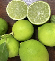 Les Hespérides - Coopérative de la Riviera Française - Lime de Tahiti 5kg