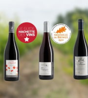 Domaine de la Chopinière du Roy - Coffret cadeau "A la découverte des vins rouges de Loire "- 3 x 75 cl