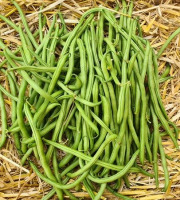 La Ferme de Goas Per - Haricot vert Bio - 250g