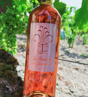 Château Jouvente - La Fontaine de Jouvente Rosé 2019 - 1 Bouteille